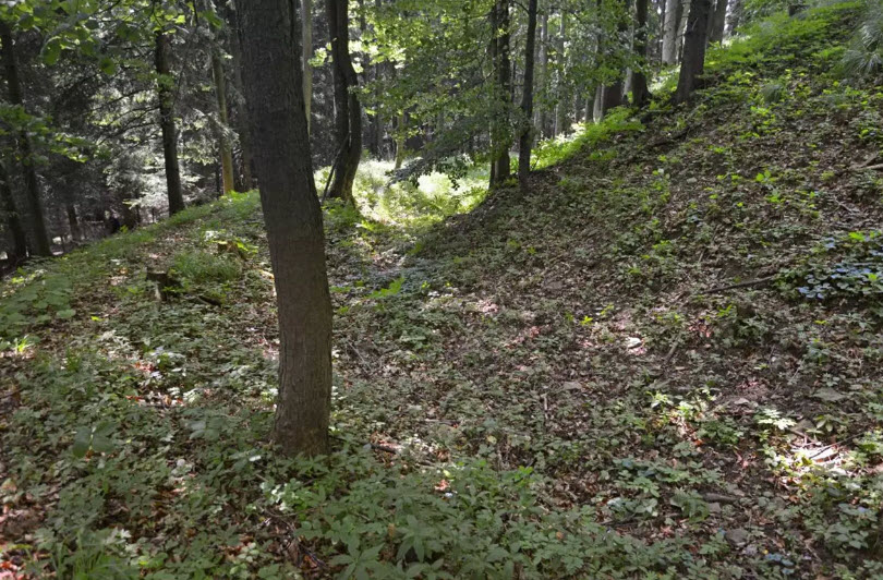 Zřícenina Hradu Vlčinec, Czech Republic (Czechia)